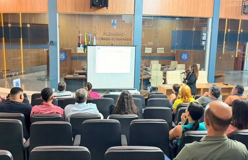 Profissionais em reunião de trabalho, público de agências e SEO