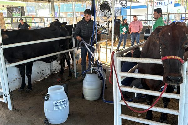 Matéria real da editoria de Agronegócio no Primeira Hora