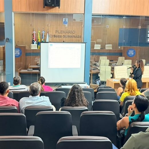 Profissionais em reunião de trabalho